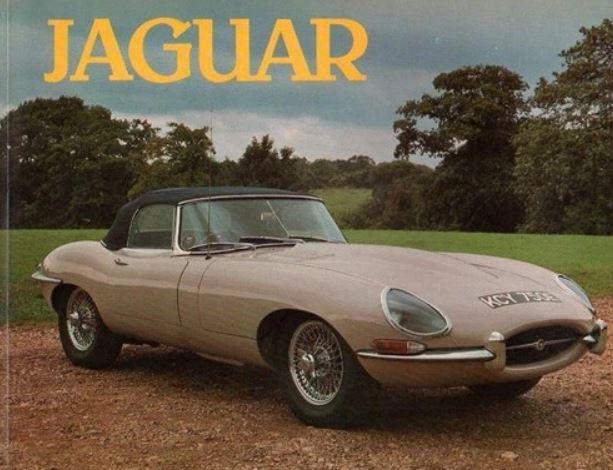 JAGUAR - Bron Kowal